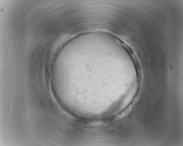 X0000061740097200512302222