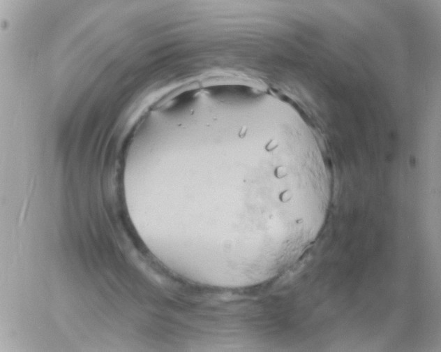 X0000061740098200512302222