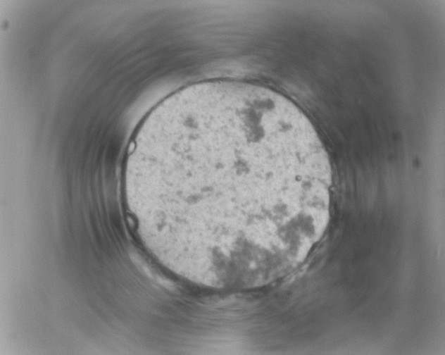 X0000061740100200512302222