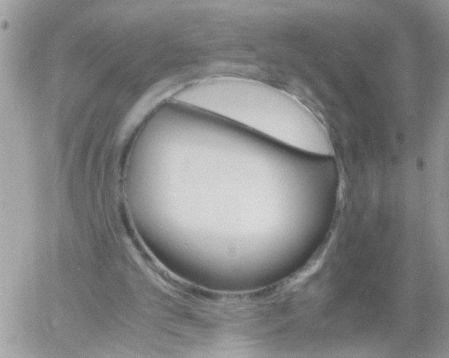 X0000061740101200512302222