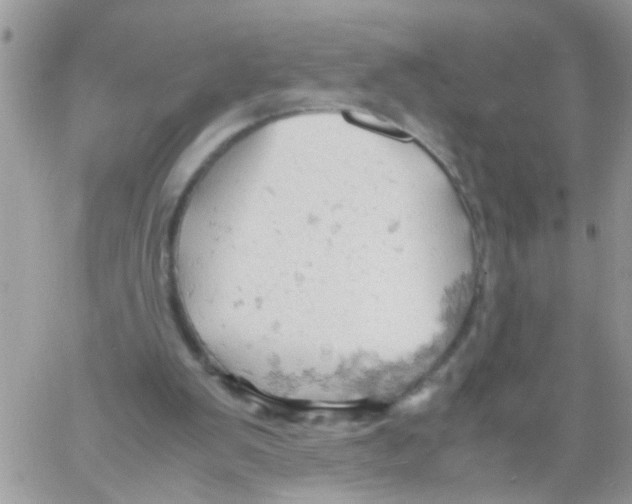 X0000061740103200512302222