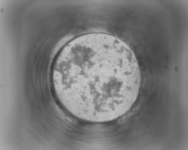 X0000061740104200512302222