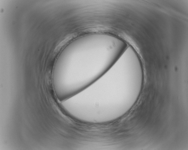 X0000061740105200512302222