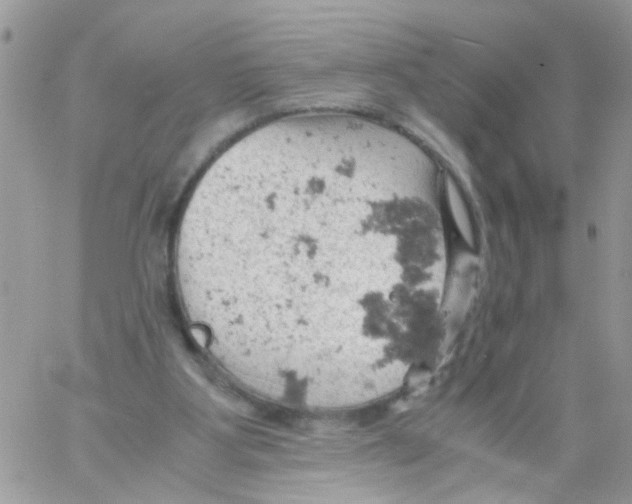 X0000061740107200512302222