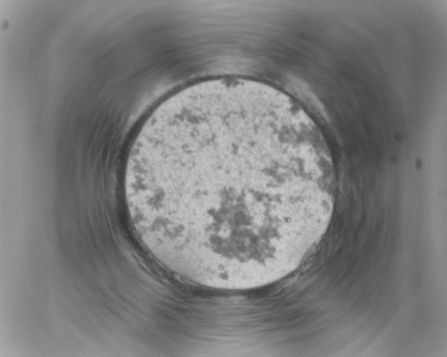 X0000061740108200512302222