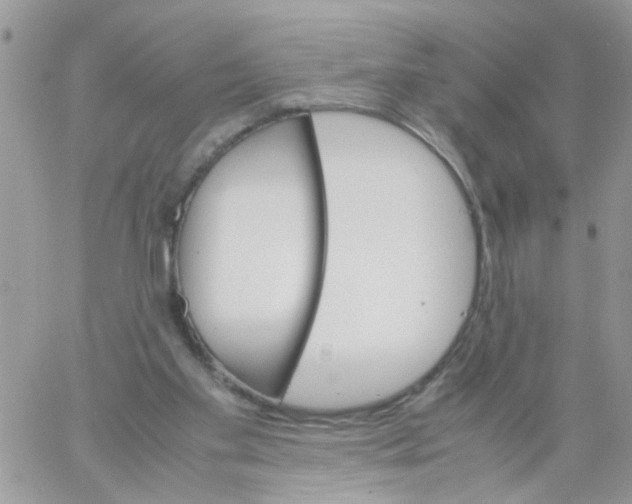 X0000061740109200512302222