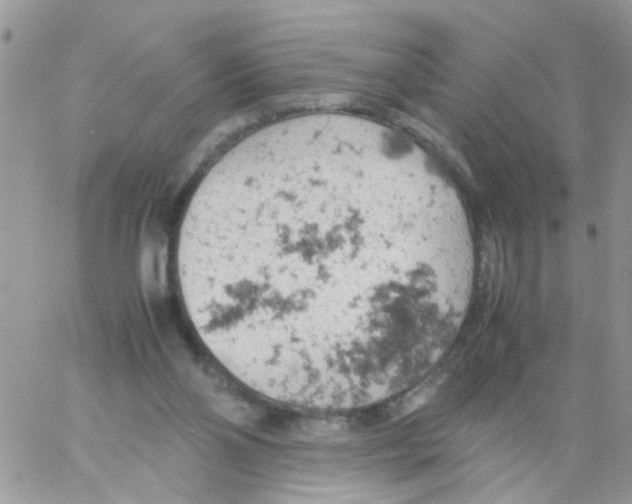 X0000061740110200512302222