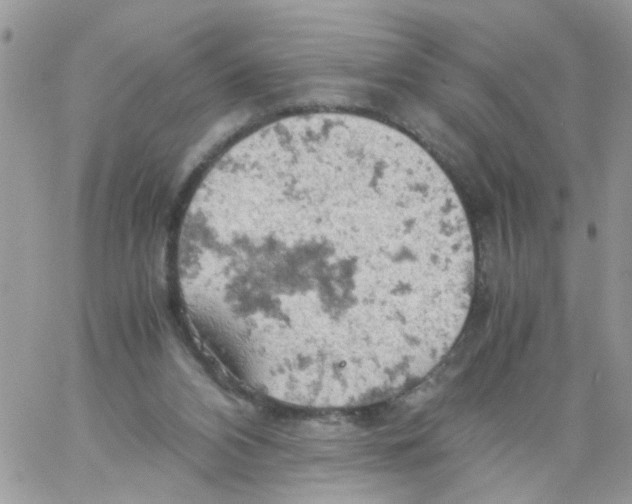 X0000061740112200512302222