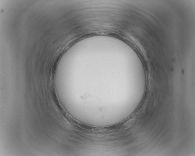 X0000061740113200512302222