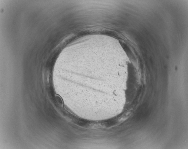 X0000061740115200512302222