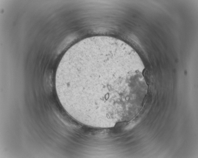 X0000061740116200512302222