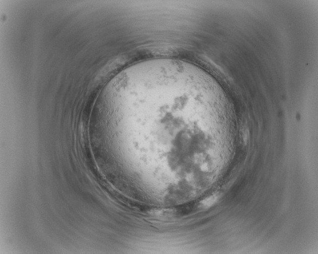 X0000061740117200512302222