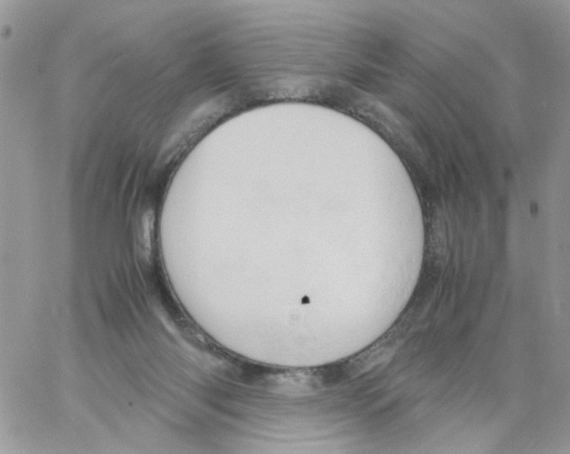 X0000061740118200512302222