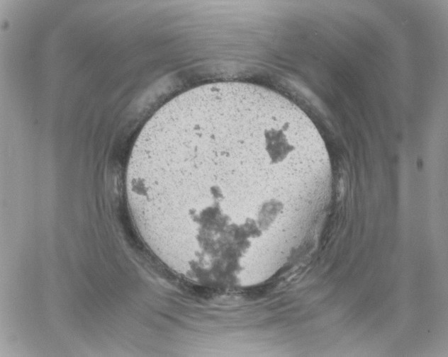 X0000061740119200512302222