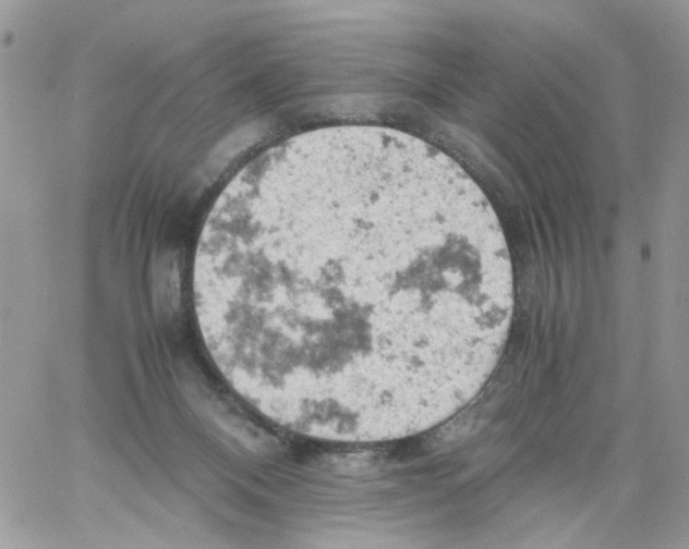 X0000061740120200512302222