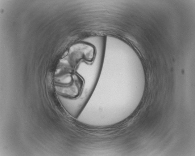 X0000061740121200512302222