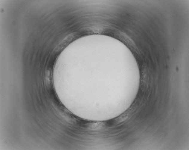 X0000061740122200512302222