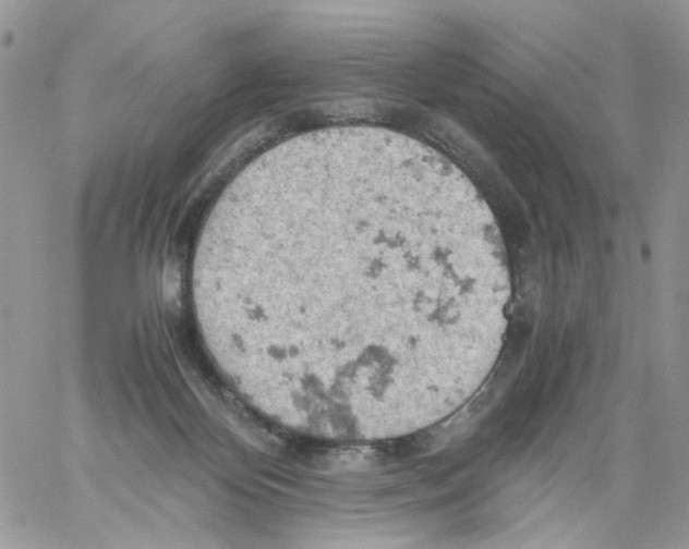 X0000061740124200512302221