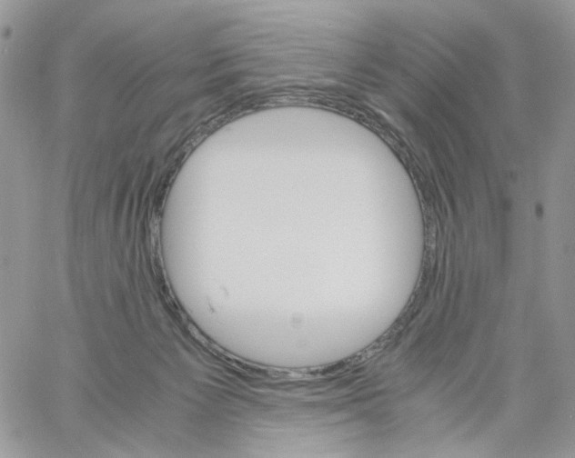 X0000061740125200512302221