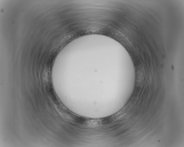 X0000061740126200512302221