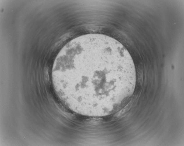 X0000061740128200512302221