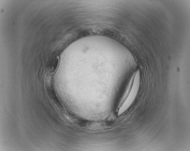 X0000061740129200512302221