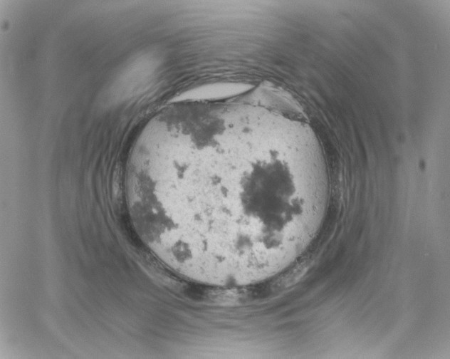 X0000061740131200512302221