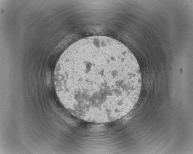 X0000061740132200512302221