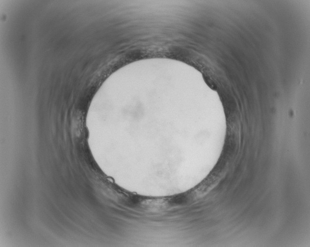 X0000061740133200512302221