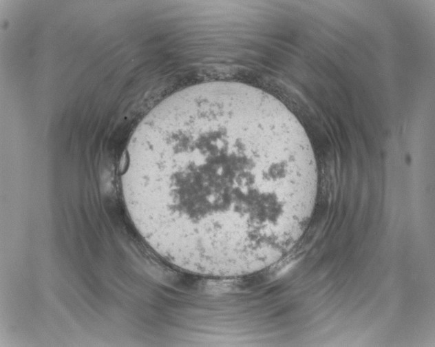 X0000061740134200512302221