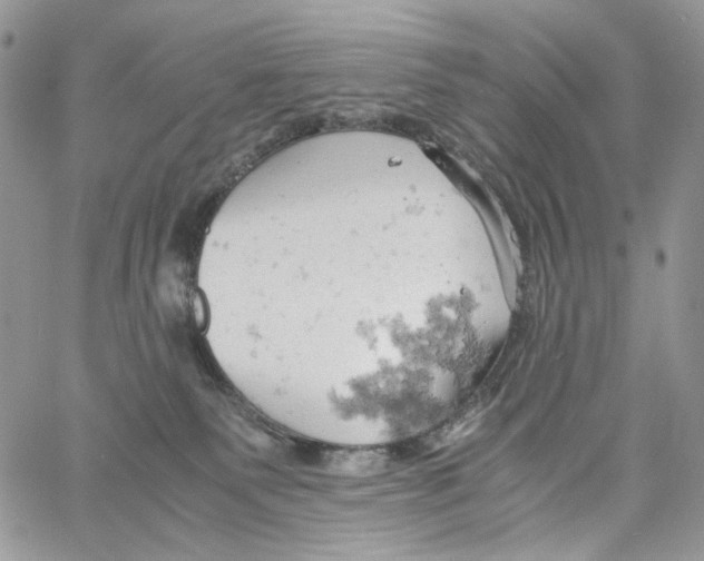 X0000061740135200512302221