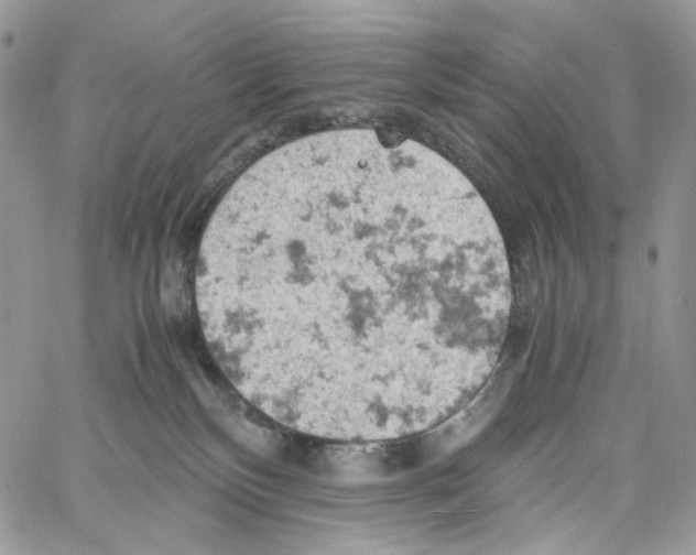 X0000061740136200512302221