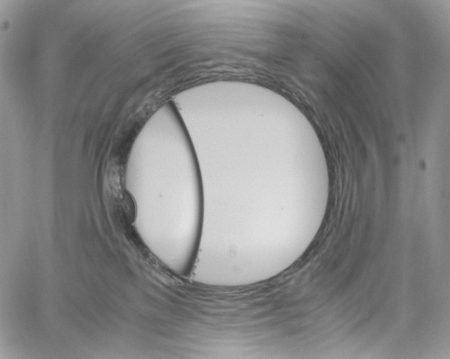 X0000061740137200512302221