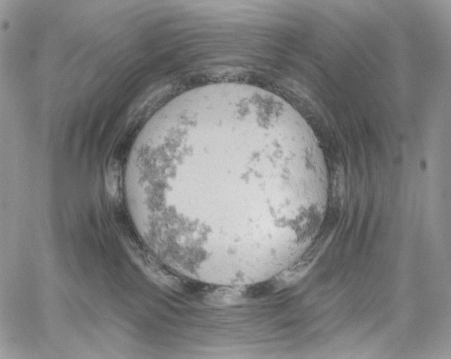 X0000061740138200512302221