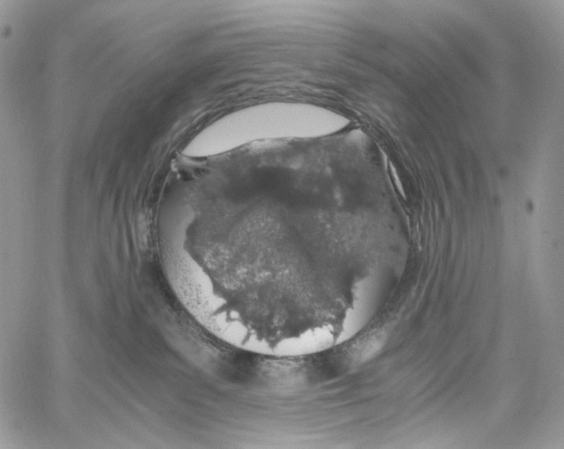 X0000061740139200512302221