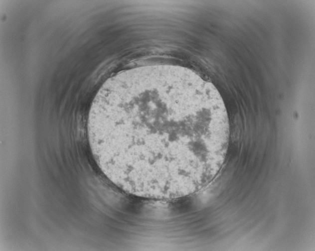 X0000061740140200512302221