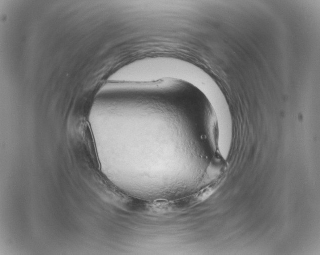 X0000061740141200512302221