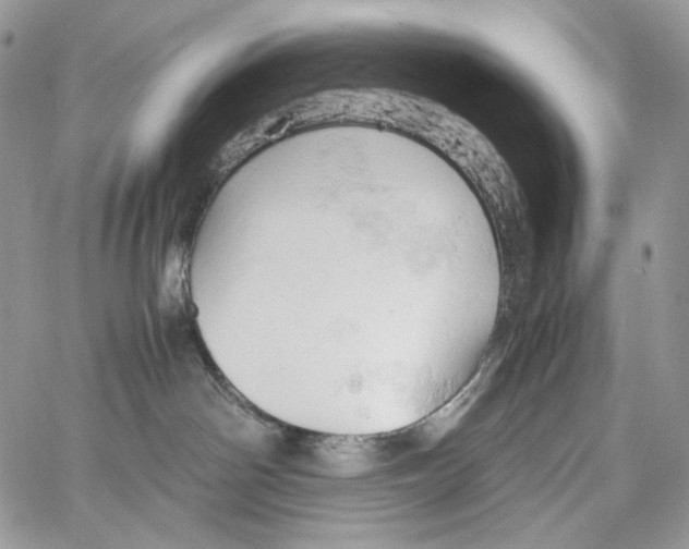 X0000061740142200512302221