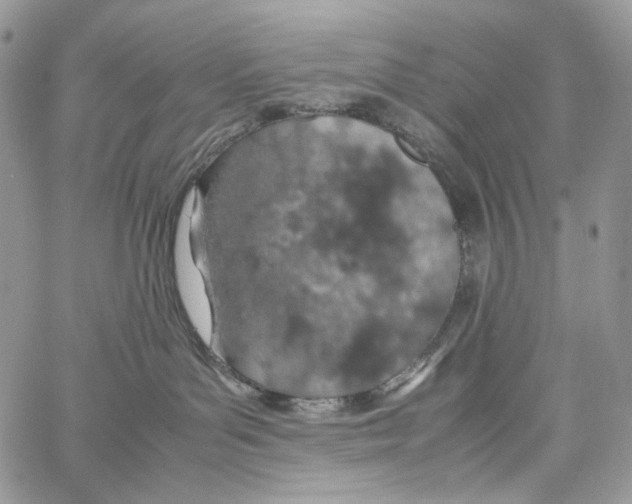 X0000061740143200512302221