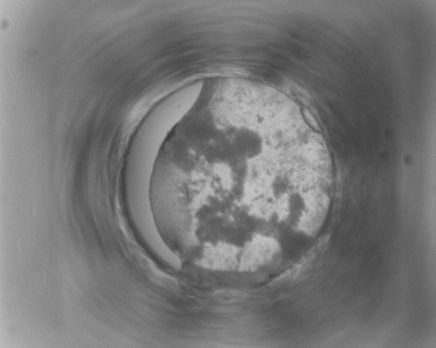 X0000061740145200512302220