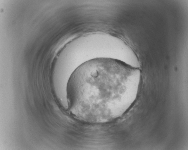 X0000061740146200512302220