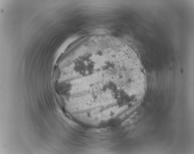 X0000061740147200512302220