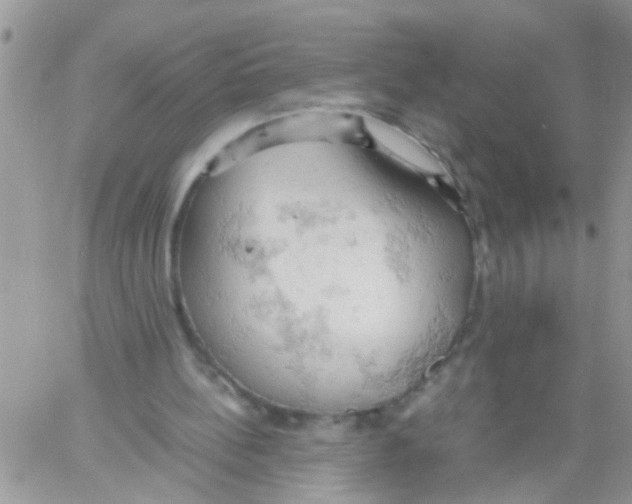 X0000061740148200512302220