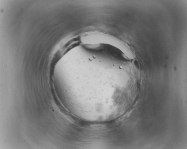 X0000061740150200512302220