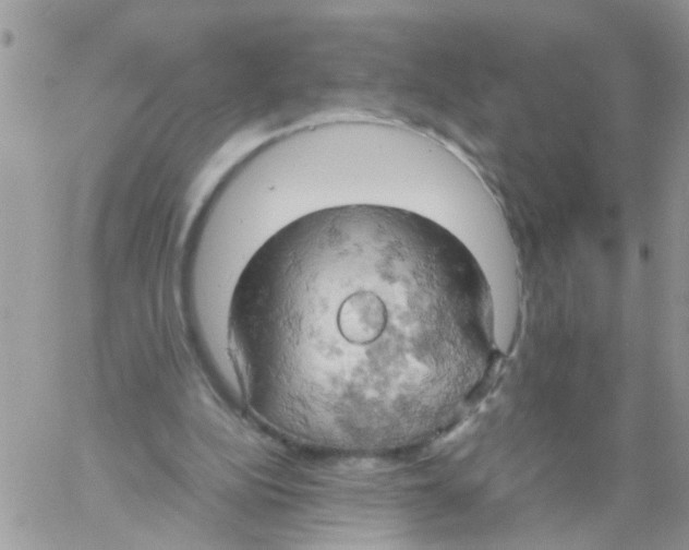 X0000061740152200512302220