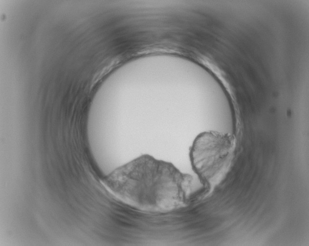 X0000061740153200512302220