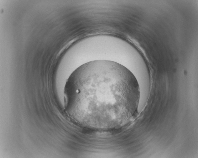 X0000061740154200512302220