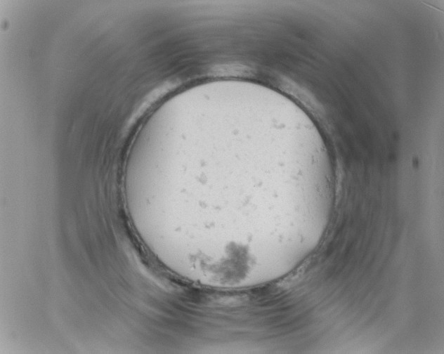 X0000061740155200512302221