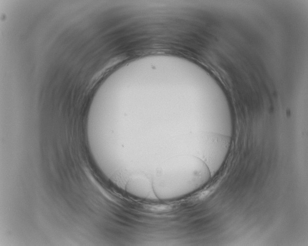 X0000061740157200512302221