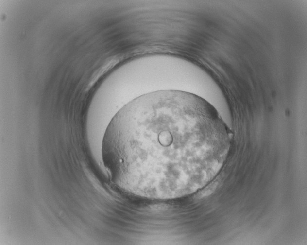 X0000061740158200512302221